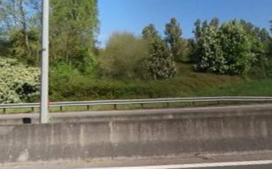 Vue du Rond-point anonyme n°123462415