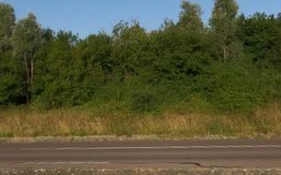 Vue du Rond-point anonyme n°123925508
