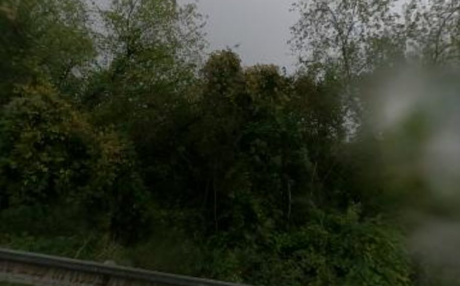 Vue du Rond-point anonyme n°1252964496
