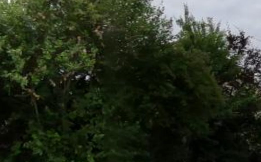 Vue du Rond-point anonyme n°133154547