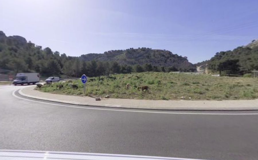 Vue du Rond-point anonyme n°1333184883