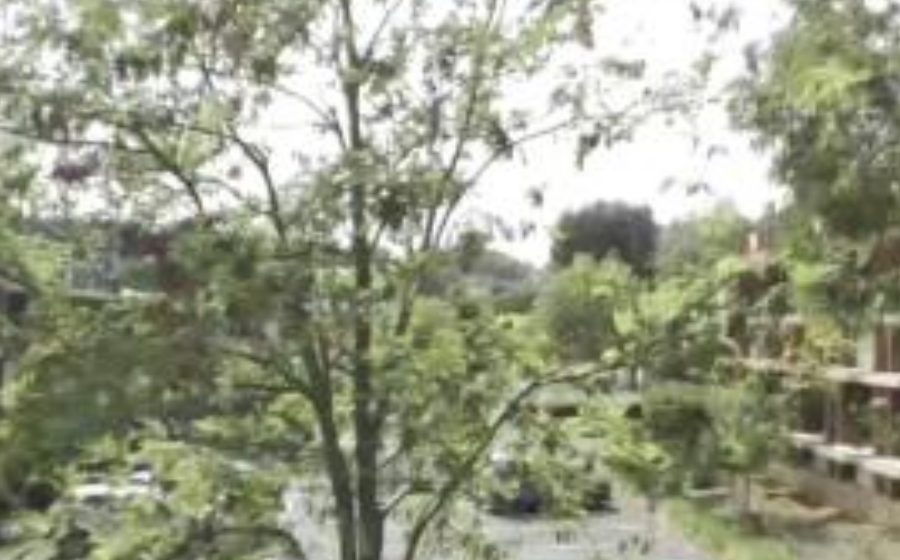Vue du Allée des Taissounières