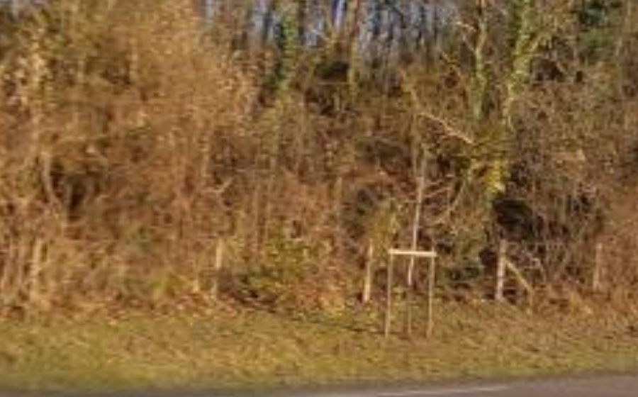 Vue du Rond-point anonyme n°135179621