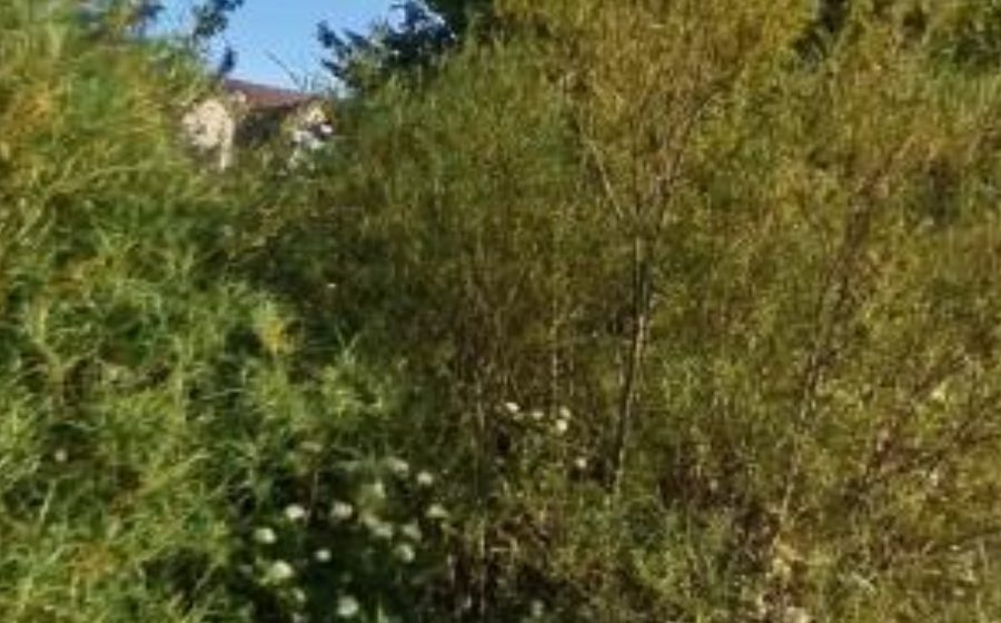 Vue du Rond-point anonyme n°1353166360