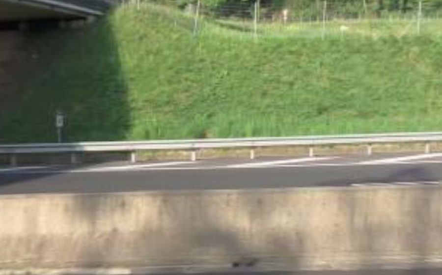 Vue du Rond-point anonyme n°137463958