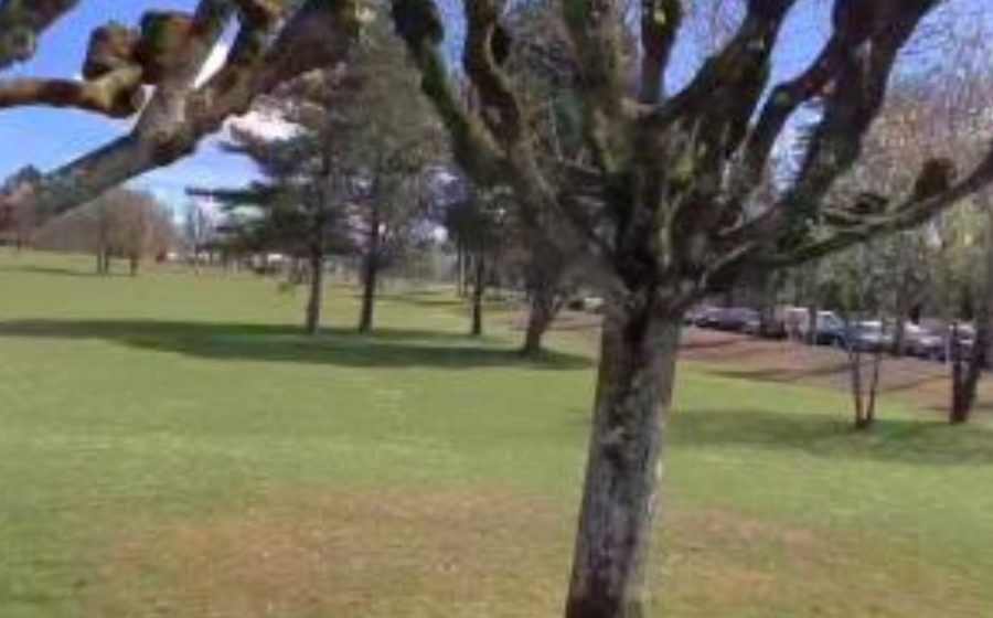 Vue du Rond-point anonyme n°1392033952