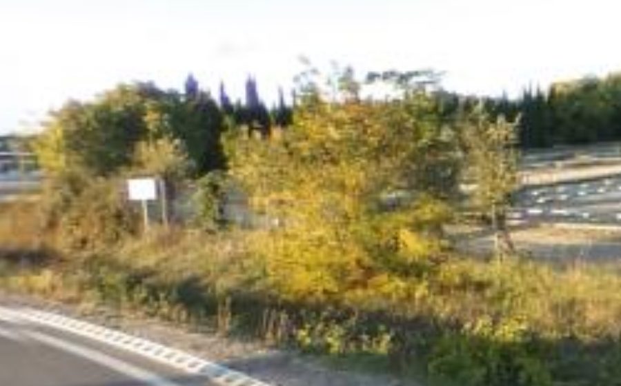 Vue du Rond-point anonyme n°1447082514
