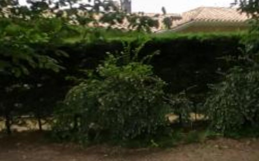 Vue du Square de Constantine