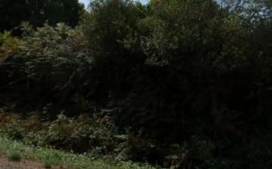 Vue du Rond-point anonyme n°1453512487