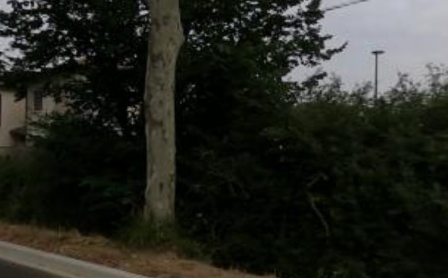 Vue du Rond-point anonyme n°1520553746
