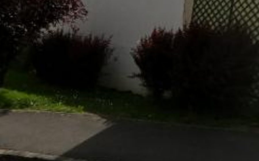 Vue du Rond-point anonyme n°15230009