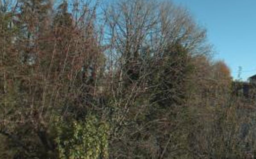 Vue du Rond-point anonyme n°153219671