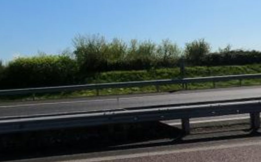 Vue du Rond-point anonyme n°153947024
