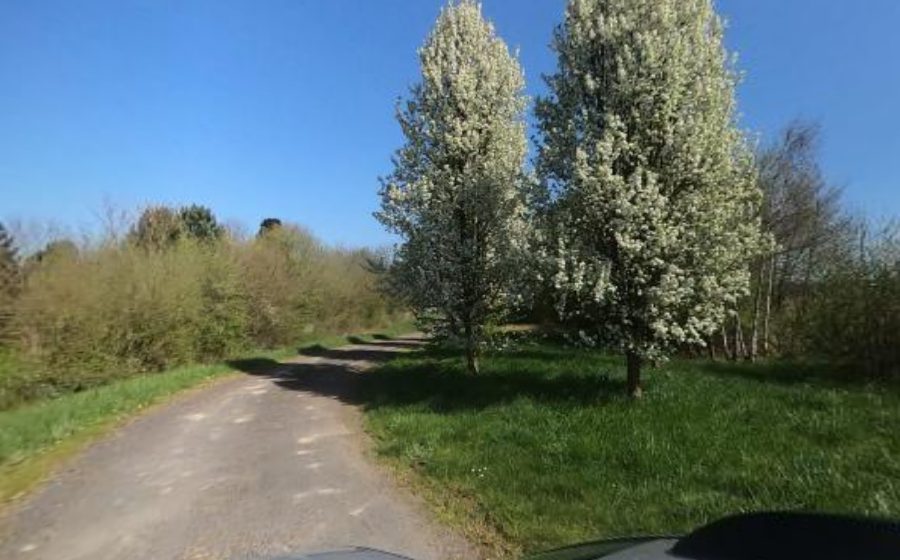 Vue du Rond-point anonyme n°15712887