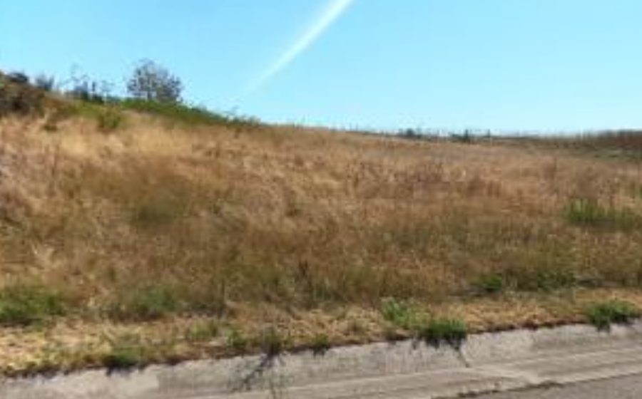 Vue du Rond-point anonyme n°159641024