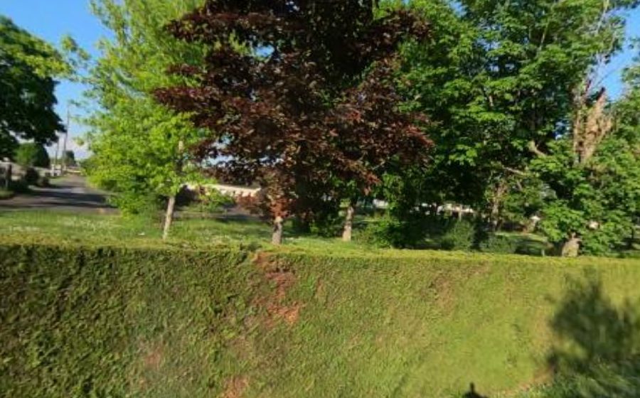 Vue du Rond-point anonyme n°160514858