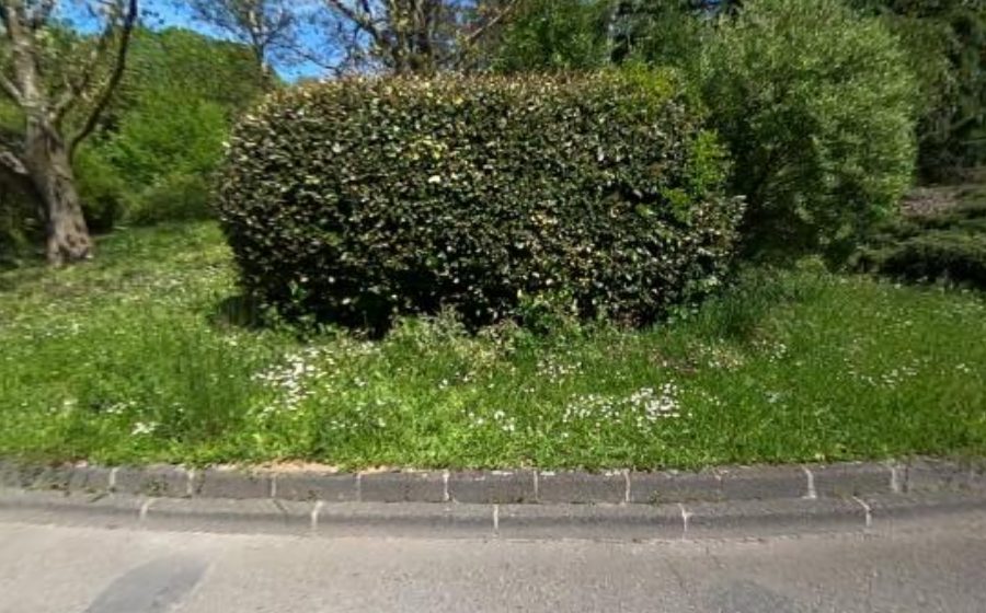 Vue du Rue Grange Dame Rose