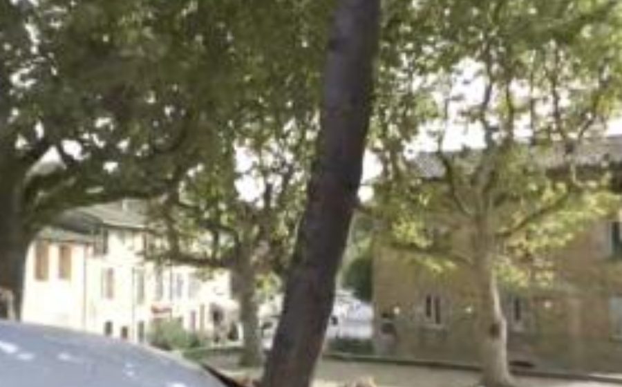 Vue du Rond-point anonyme n°169086578