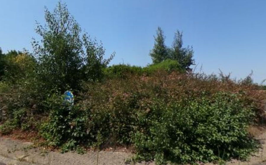 Vue du Rond-point anonyme n°172198823