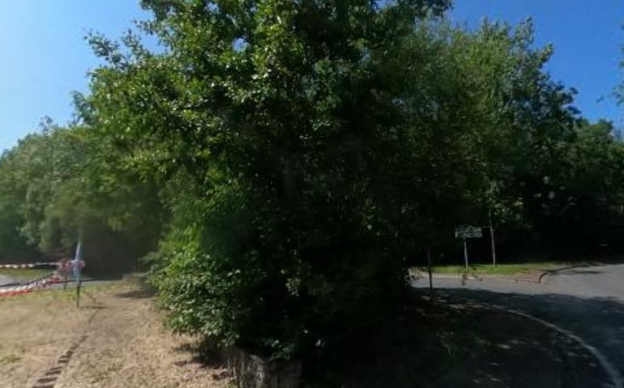Vue du Rond-point anonyme n°173155354