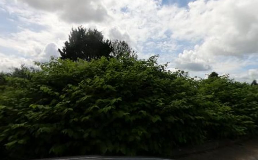 Vue du Rond-point anonyme n°175820623