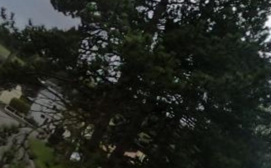 Vue du Rond-point anonyme n°181338253