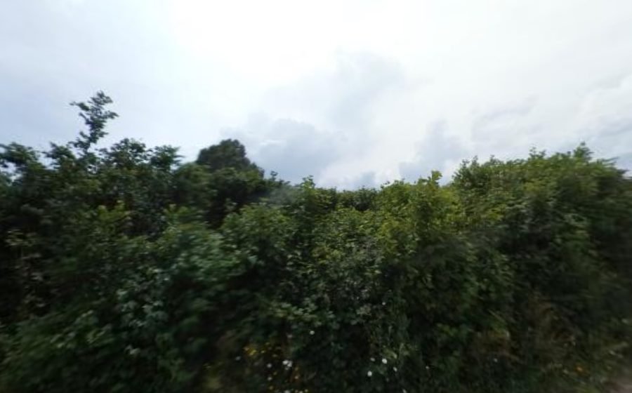 Vue du Rond-point anonyme n°185482281