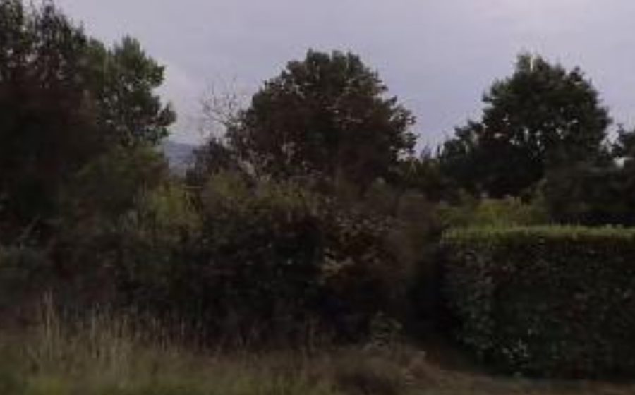 Vue du Rond-point anonyme n°193824336