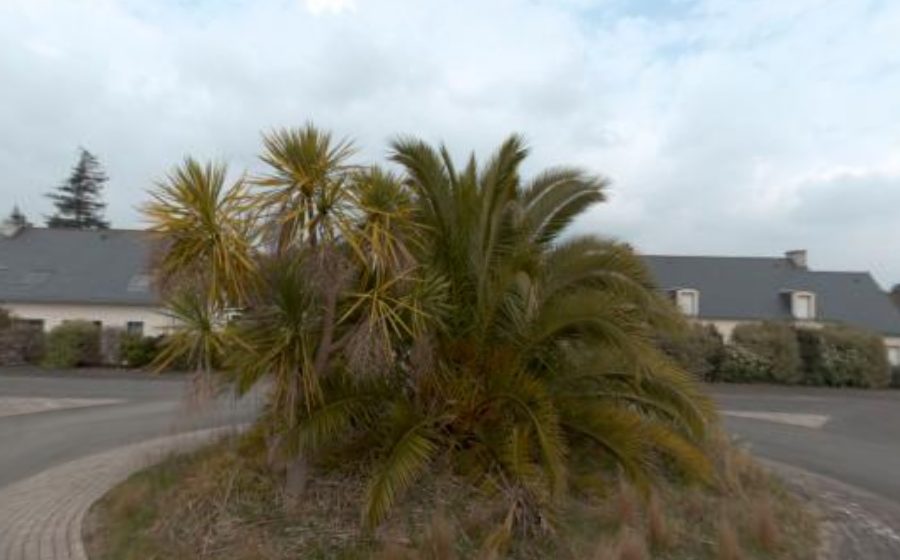 Vue du Rond-point anonyme n°198731733