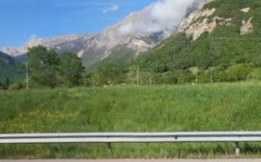 Vue du Rond-point anonyme n°221804836