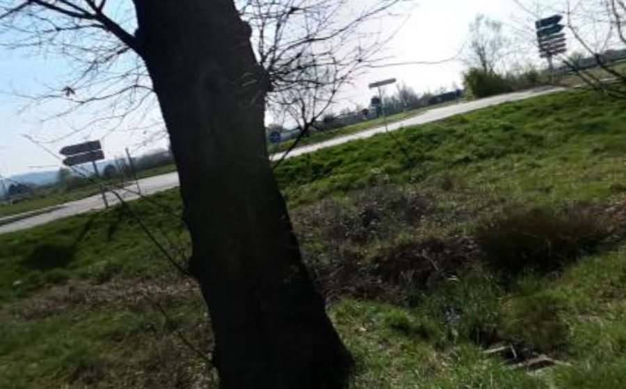 Vue du Rond-point anonyme n°22293539