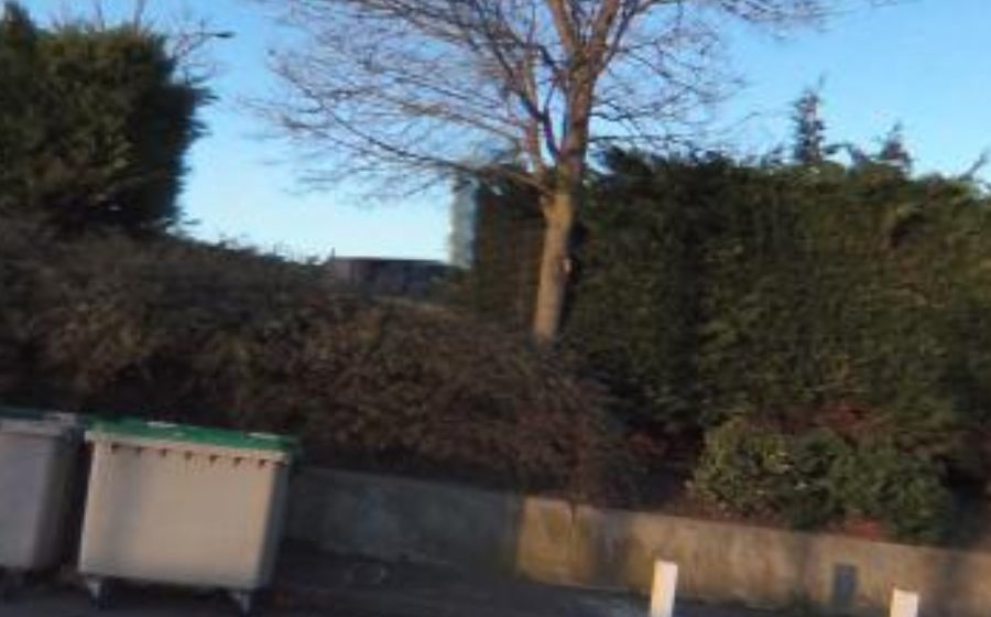 Vue du Rond-point anonyme n°22650412