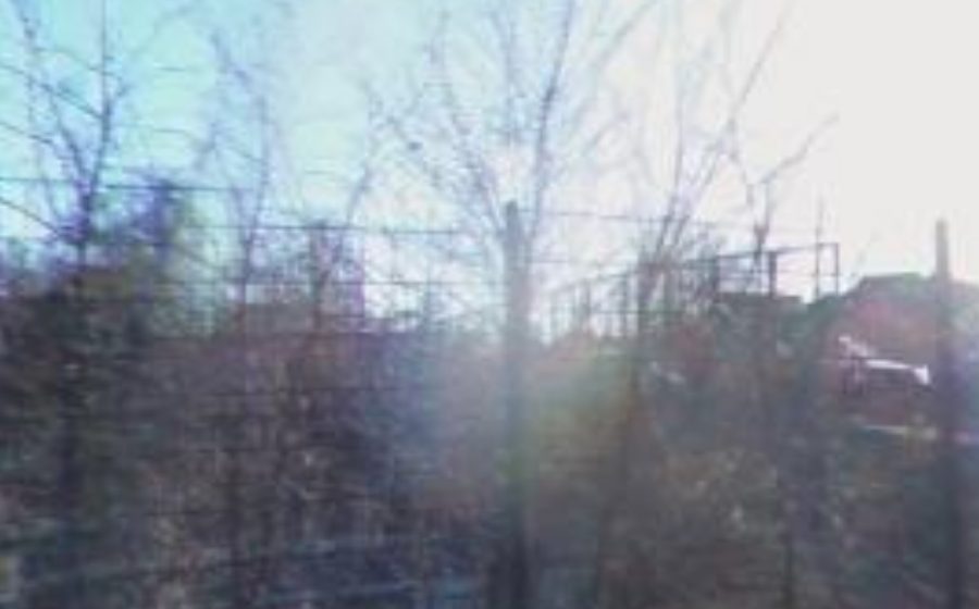 Vue du Rond-point anonyme n°22699861