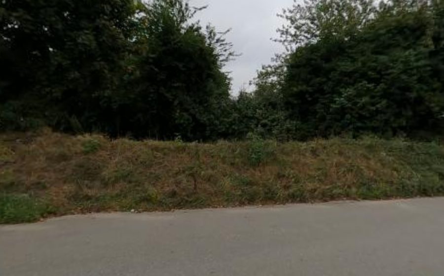 Vue du Rond-Point du Bois de Sapin