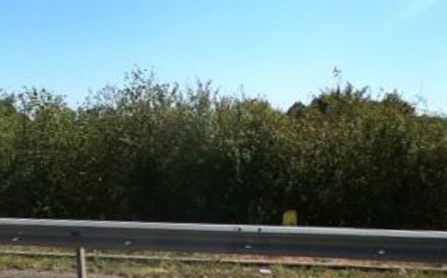 Vue du Rond-point anonyme n°22790886