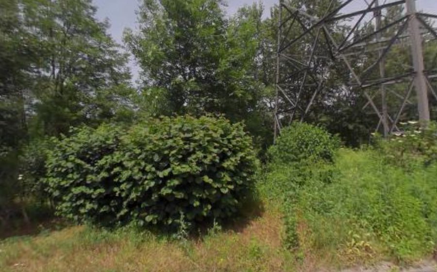 Vue du Rond-point anonyme n°22794468