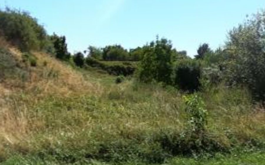 Vue du Rond-point anonyme n°22821301