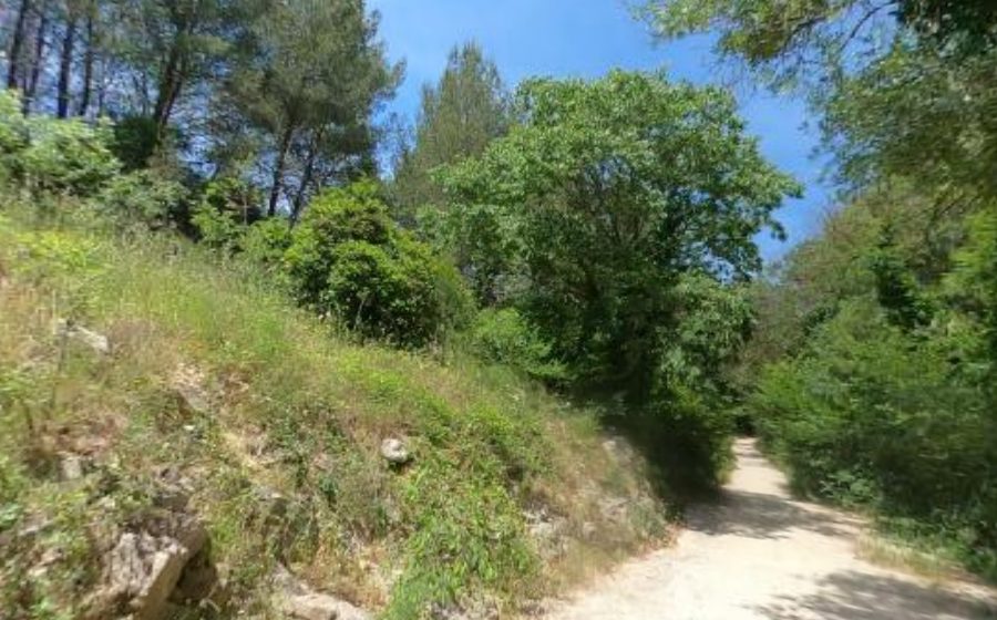 Vue du Rond-Point Serre-Rond