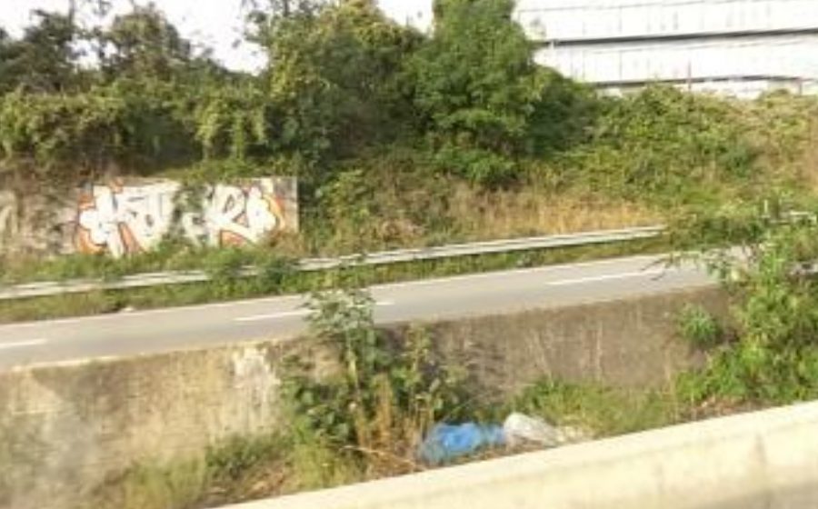 Vue du Rond-point anonyme n°23017595