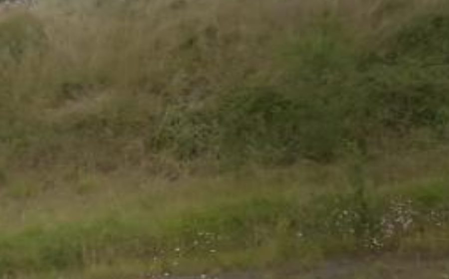 Vue du Rond-point anonyme n°23032410