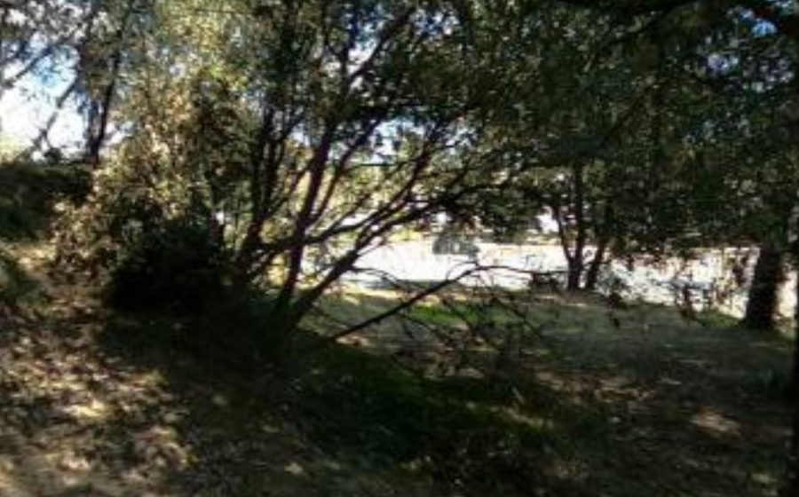 Vue du Rond-point anonyme n°23032758