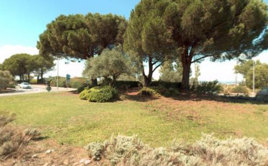 Vue du Rond-Point de l'Infantrie de la Marine