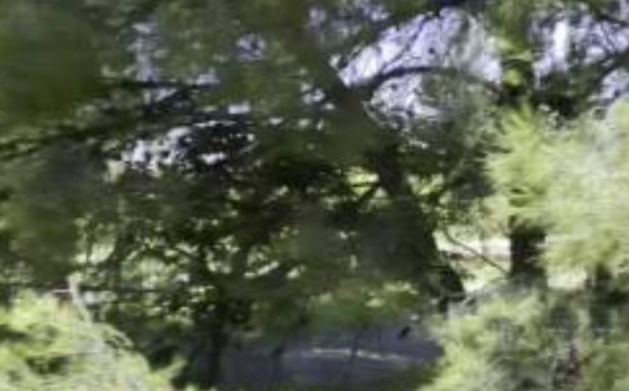Vue du Rond-point anonyme n°23356558