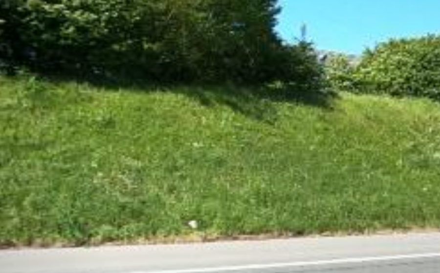Vue du Rond-point anonyme n°23424261