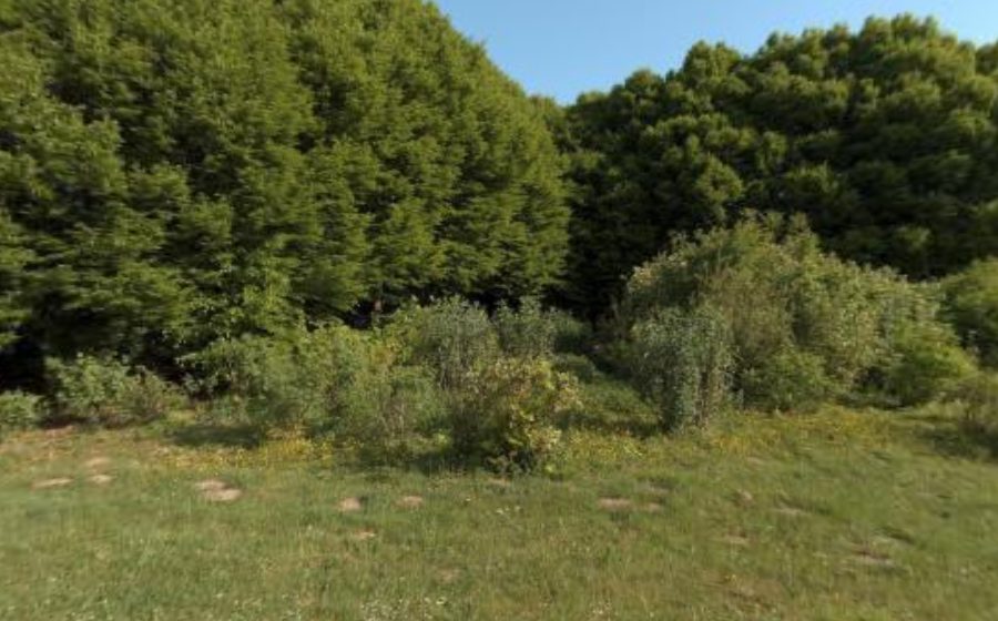 Vue du Rond-Point de la Haute Borne