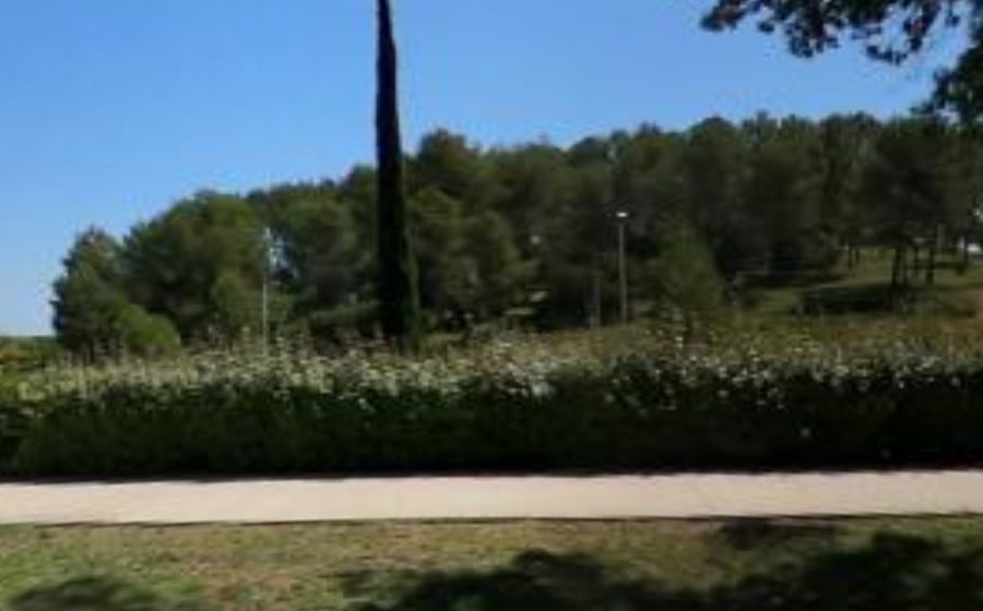 Vue du Rond-point anonyme n°237708940