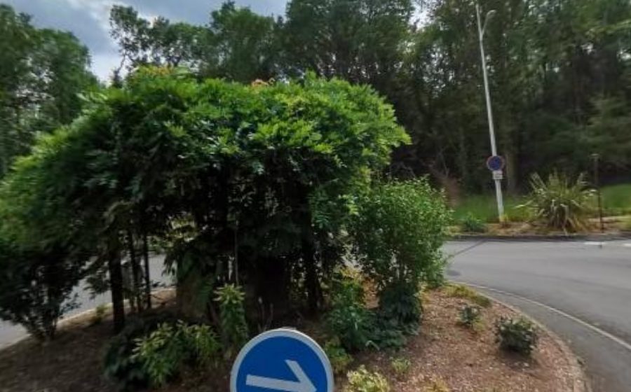 Vue du Rond-point anonyme n°23820503