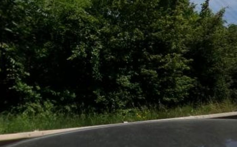 Vue du Rond-point anonyme n°23855144