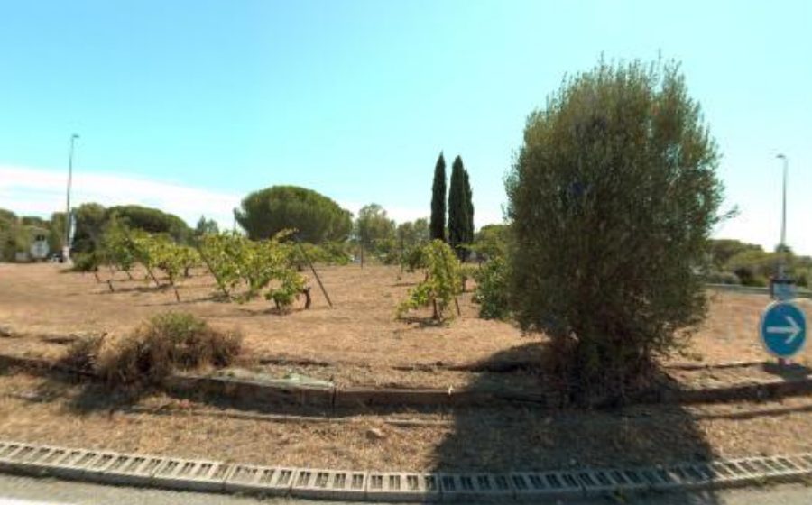 Vue du Rond-Point de Curebeasse