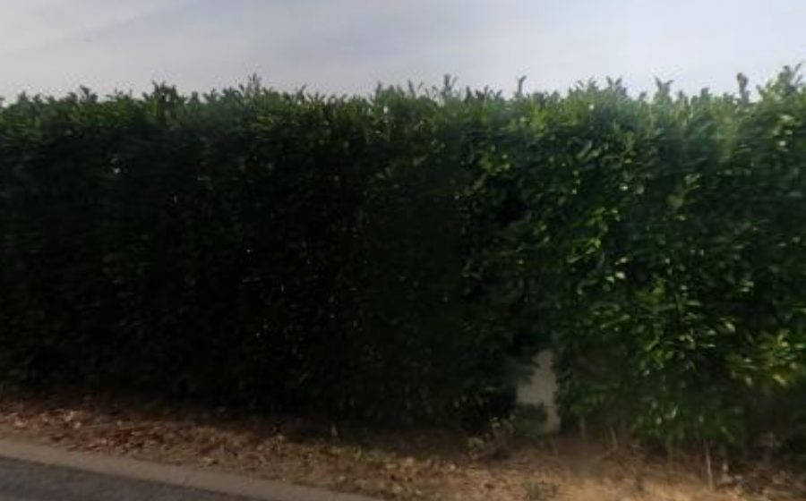 Vue du Rond-point anonyme n°242176310